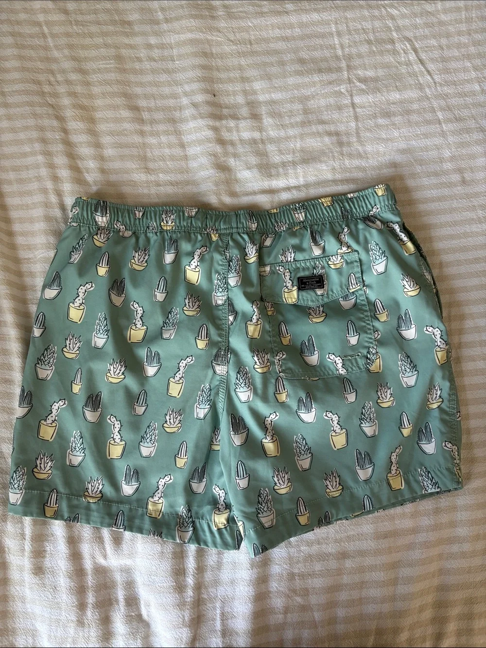 Abercrombie & Fitch Men’s Mint Green Cactus Print Swim Trunks